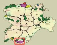 localizacin